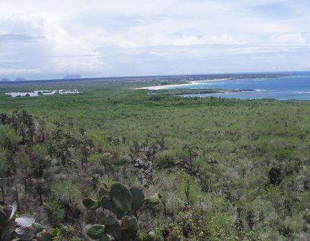 Galapagos Inseln Isabela