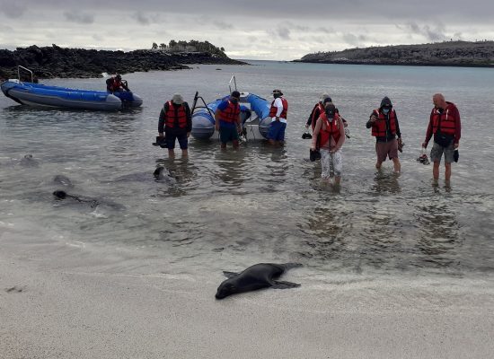 Galapagos Inseln Seekrankheit